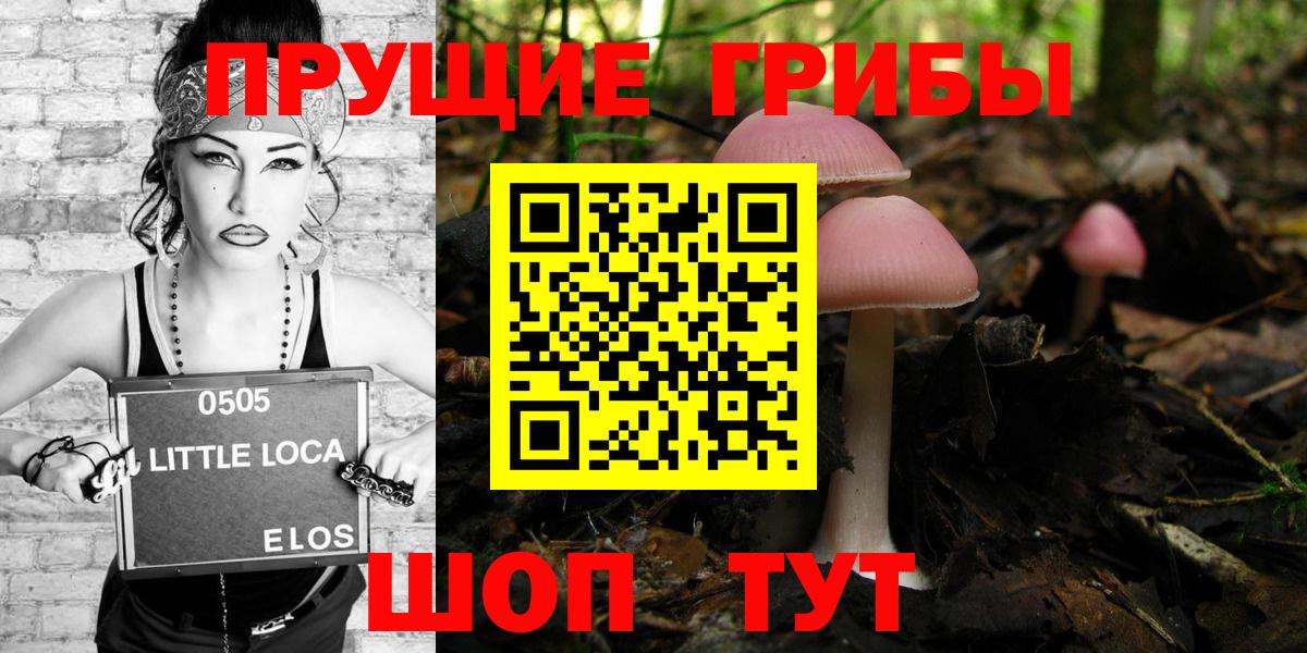 Галлюциногенные грибы Psilocybine cubensis  Вход с VPN  Семилуки 